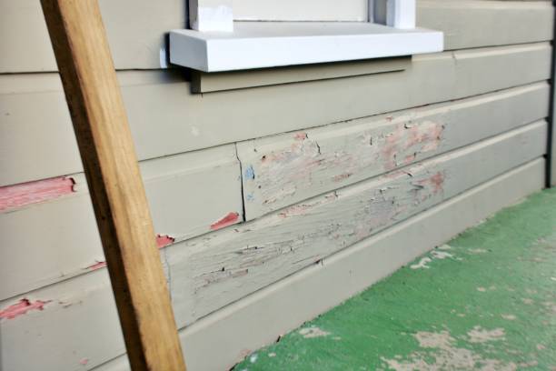 Best Stucco Siding  in San Clemente, CA