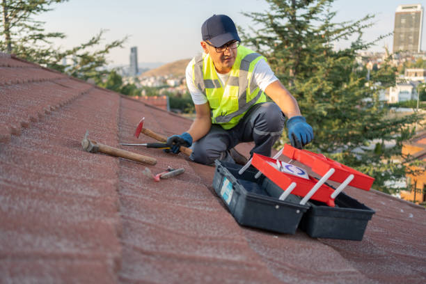 Best Siding for New Construction  in San Clemente, CA